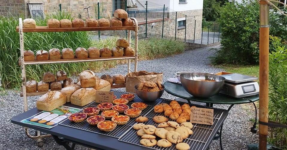 image de l'activité