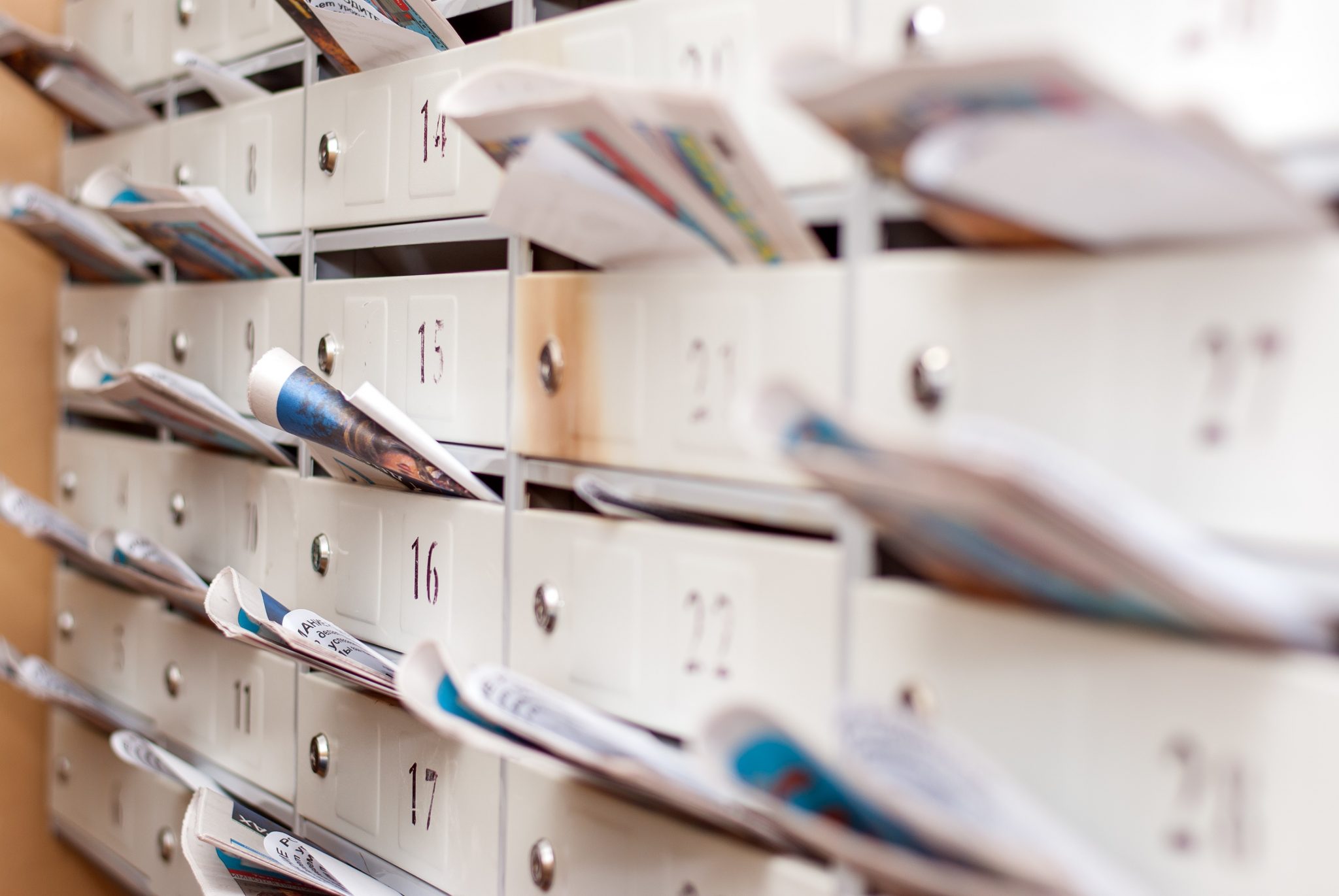 image de l'activité